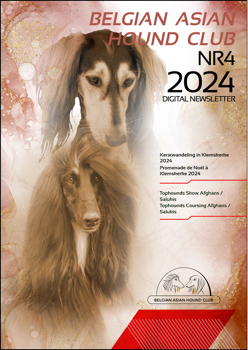 BAHC Digitaal Newsletter Nr4 2024