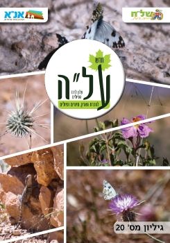 חוברת על