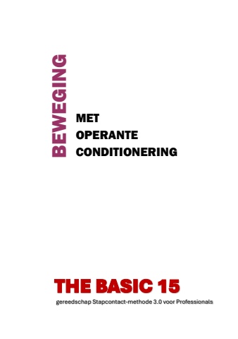 flyer spelen met conditionering